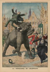 Venganza de un elefante, ilustración de la contraportada de 